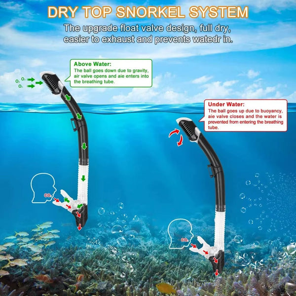 The ScubaDiving Gear Store Snorkelling Set - Full Frame Mask & Dry Snorkel - Multiple Colour Options