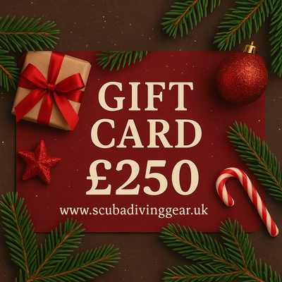 The 2025 Christmas Gift Card