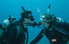 The ScubaDiving Gear Store Couples Try-Scuba Experience